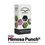 Buy auto mimosa punch Cannabis Seeds from Dutch Passion online at HollandsHigh